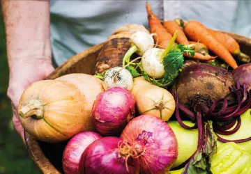 Les biostimulants, un secteur en consolidation et un allié de la transition agro-écologique